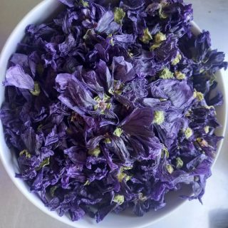 Et oui, ça y est, l'arrivée de l'automne 🍂 me renvoie auprès des chaudrons pour préparer les potions qui prendront soin de nos gorges et nous préparera à l'hiver 🥶. 
Le sirop tout doux fait son grand retour et vous le retrouverez dès demain au marché de la Chapelle Chaussée et bien sûr sur mon site internet (lien en bio)
A tout vite les ami.es et portez vous bien 😘