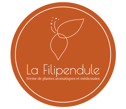 La Filipendule